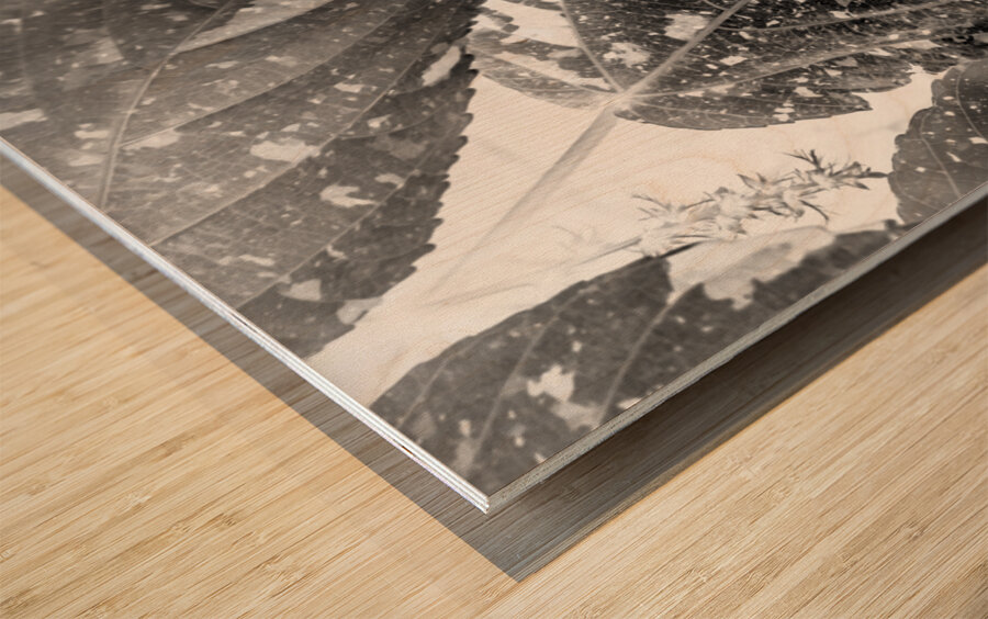 Leaves and light Wood print