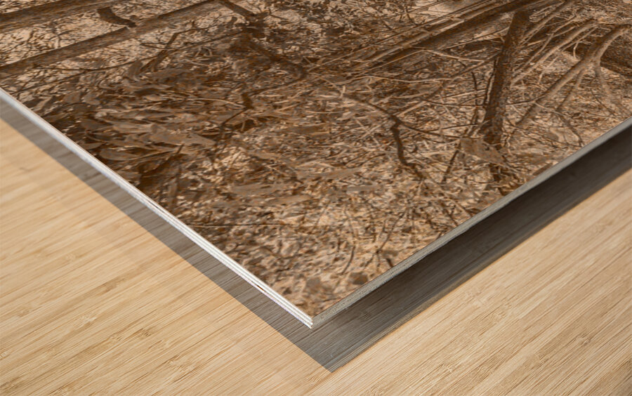 Vintage Deception Bay woodland Wood print