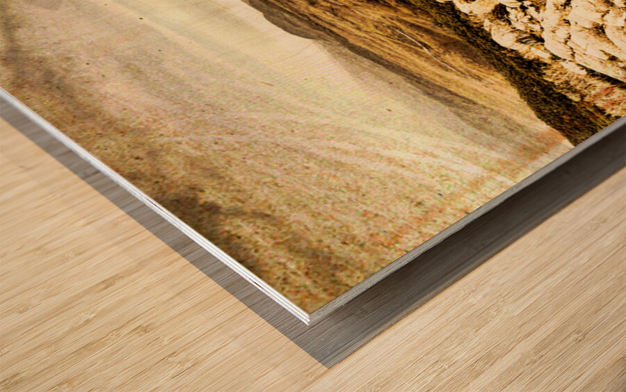 End of the earth Wood print