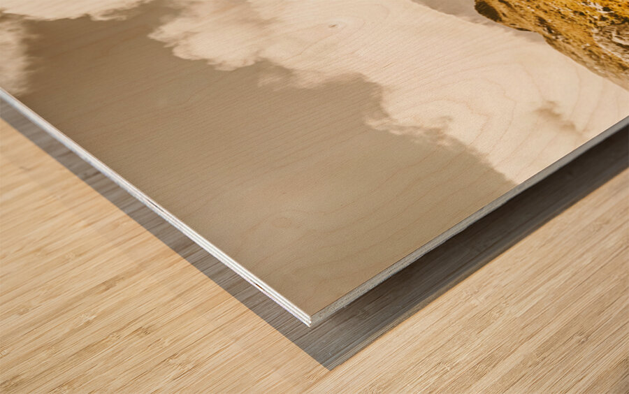 Wild country lookout Wood print