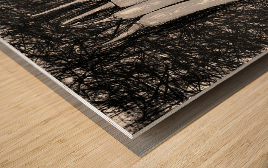 Pepper portrait Wood print