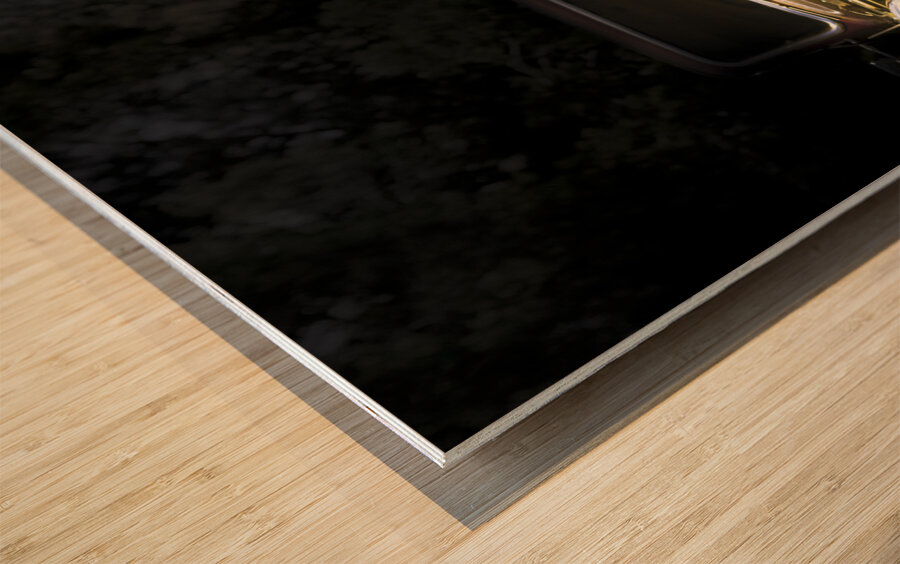 Female Auto Mechanic Wood print