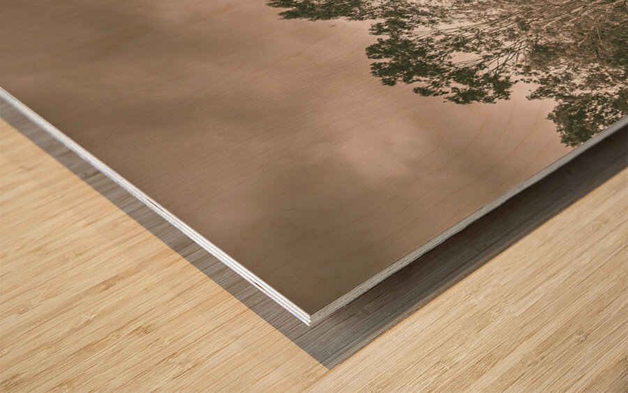 Through fields aplenty Wood print