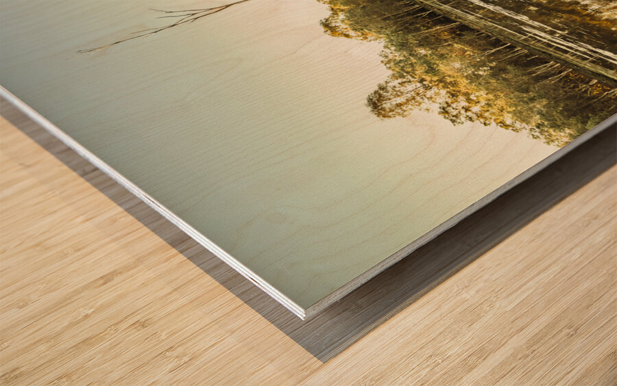 Soothing waters Wood print