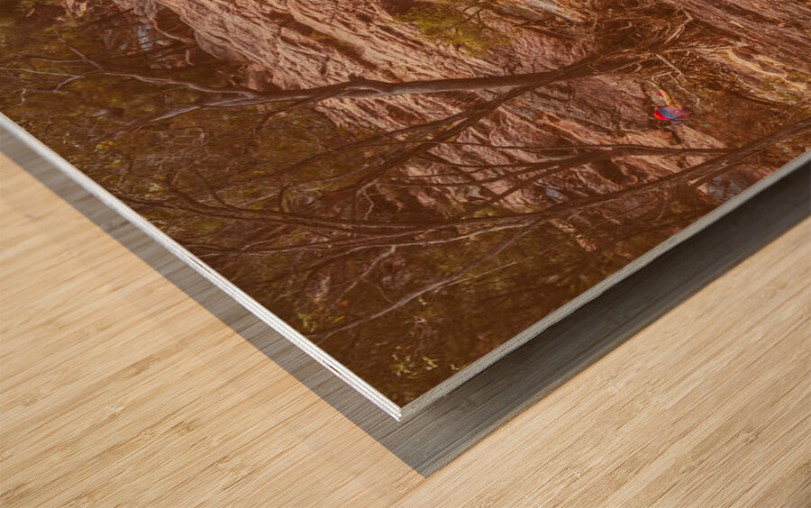 Rugged falls Wood print