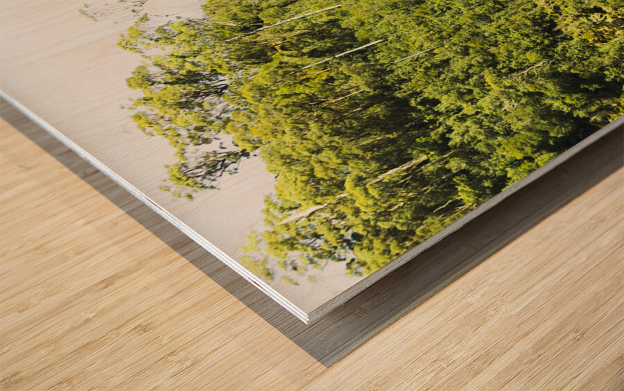 Rainforest rapids Wood print