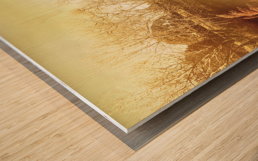 Coal River Richmond Wood print