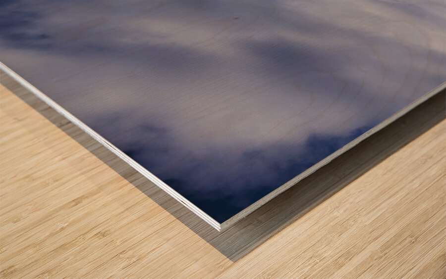 Seaside splendour Wood print