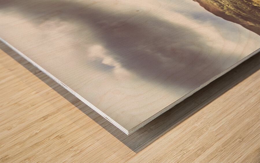 Wide Open Country Australia Wood print