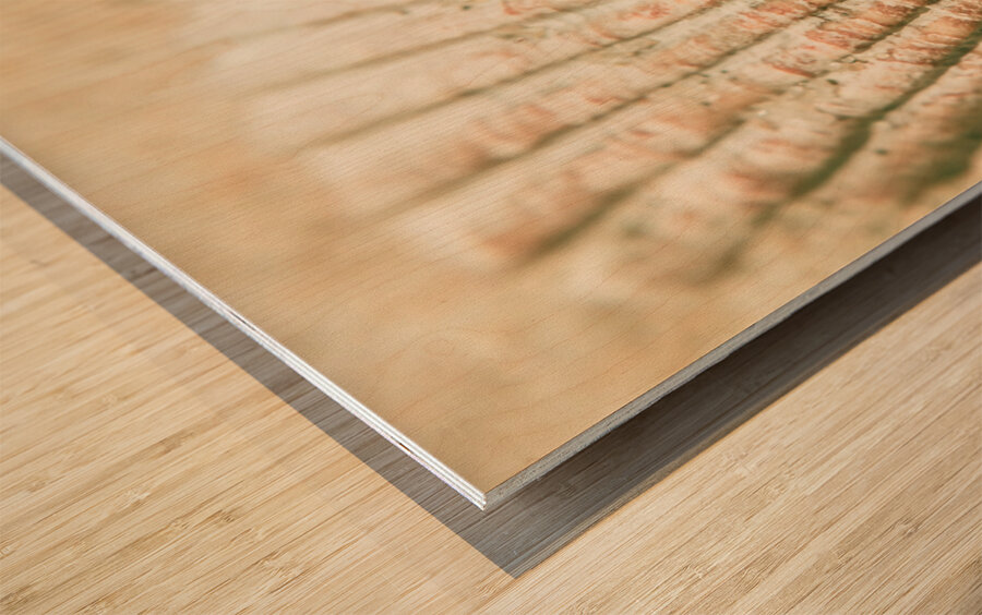 Macro marine minimalism Wood print