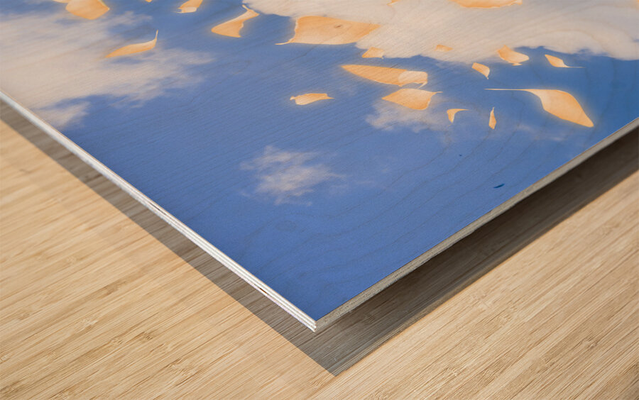 Romantic woman dreaming of a sky filled romance Wood print