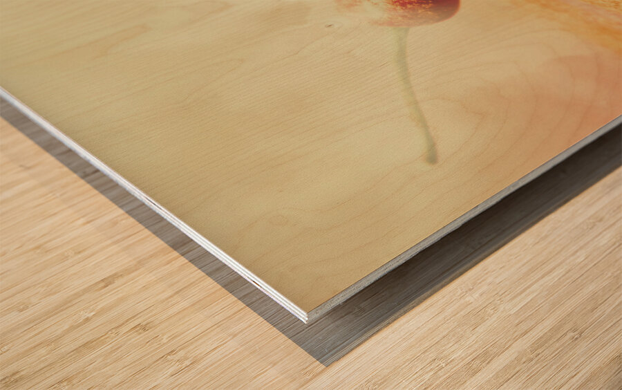 Mexican restaurant artwork Wood print