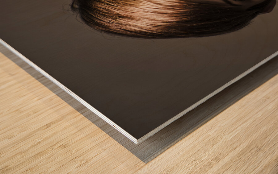 Speak No Evil Wood print