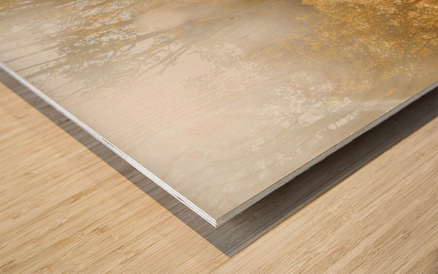 Autumns Adventure Wood print