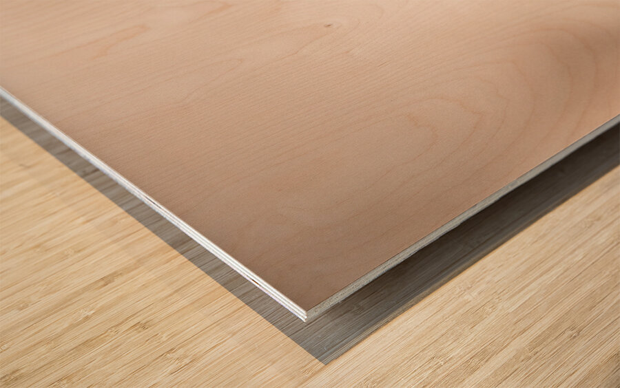 Tropical Butterfly Wood print