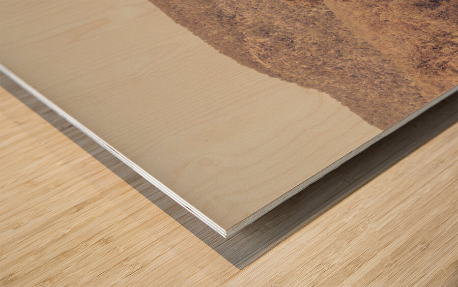 Old prairie Wood print