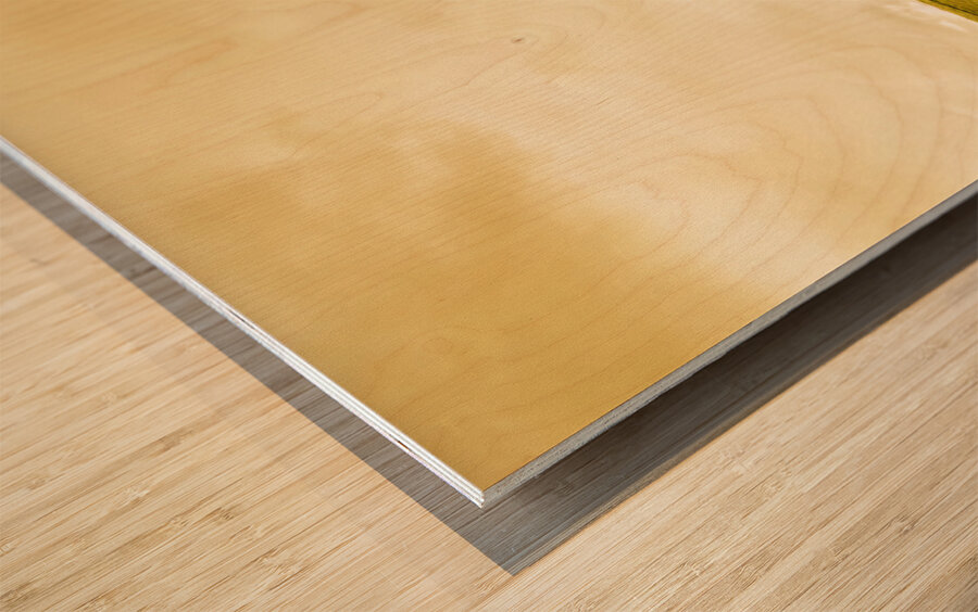 Single green tree in meadows of old Wood print