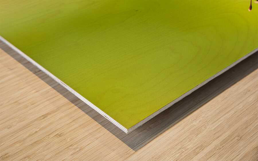 Tropical exotics Wood print