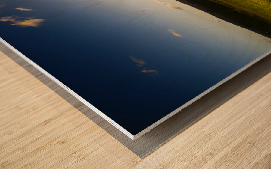 Love Is In The Air Wood print