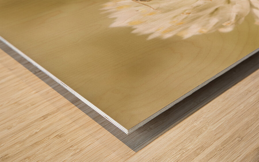 Ant ique  Wood print