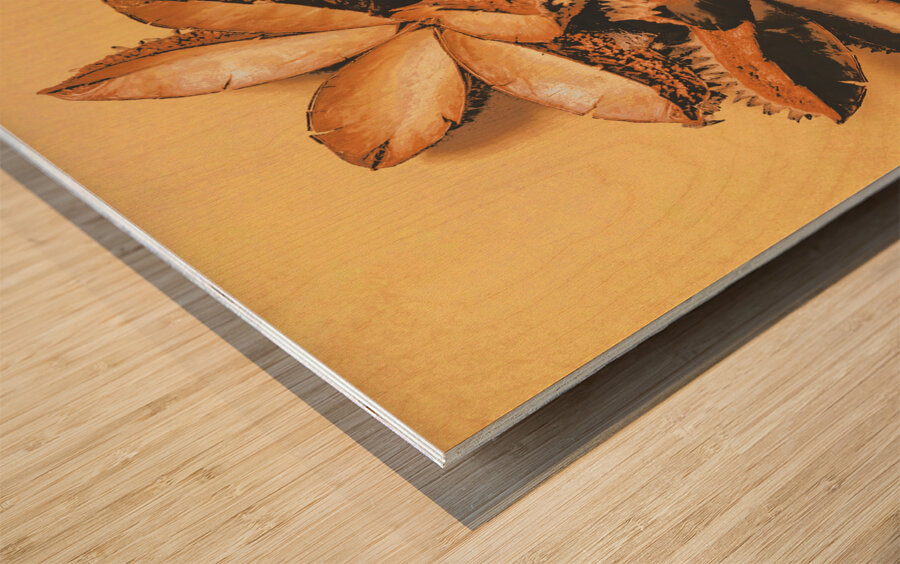 Setting seeds Wood print