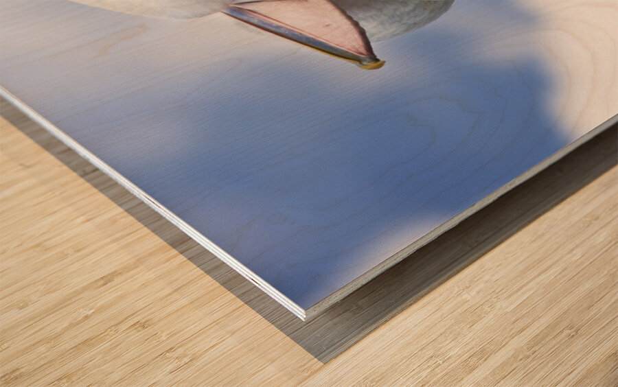 Summer Siesta Wood print