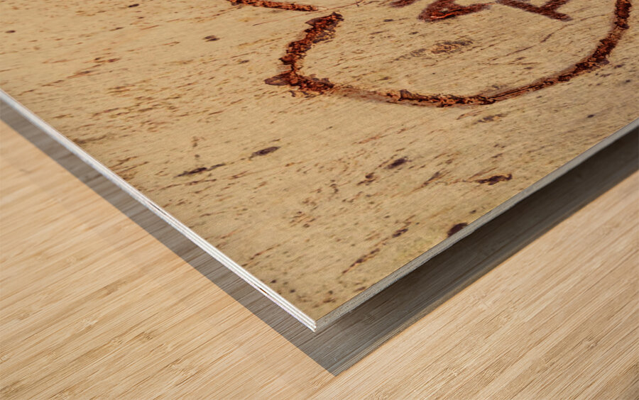 All There Is Wood print