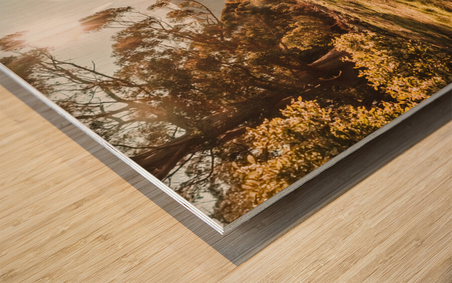 Meadows and mountains Wood print