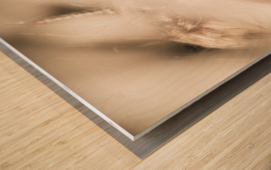 Dreamy eyes through wicker lines Wood print