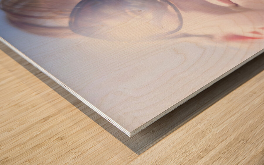 Vacation Reflections Wood print