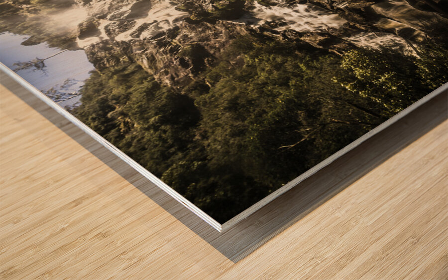 Tasmania wild Wood print