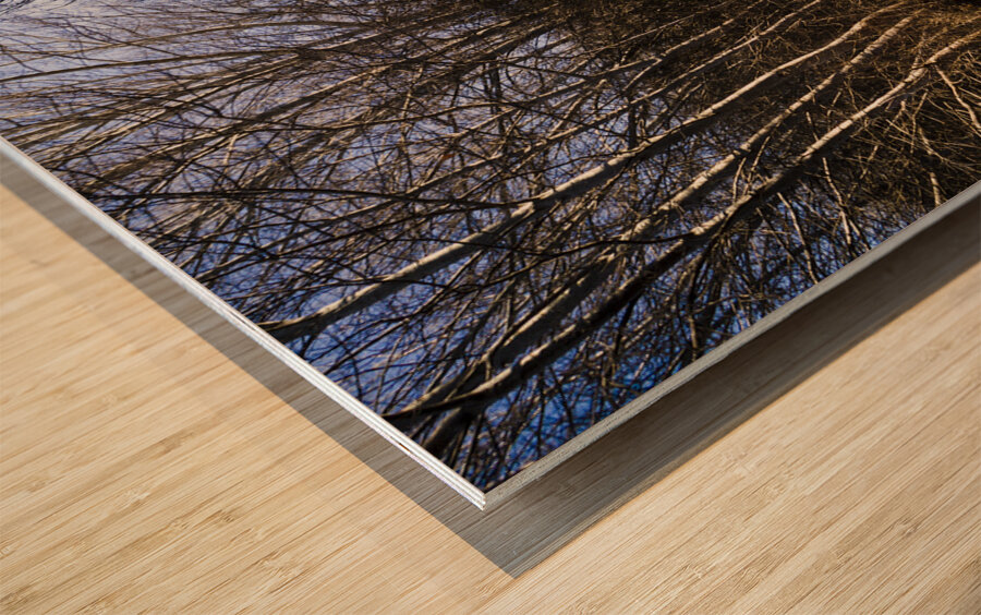 Beautiful roads in winters shadow Wood print