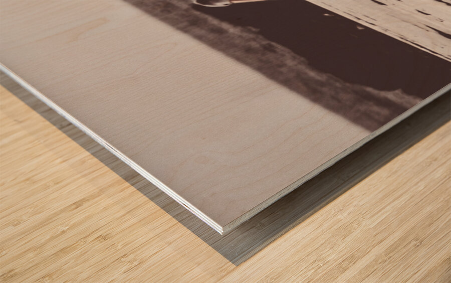 Pelican panorama Wood print