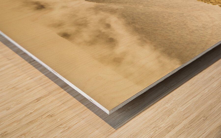 Western woodlands Wood print