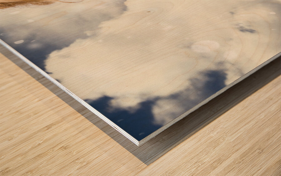 New World Disorder Wood print