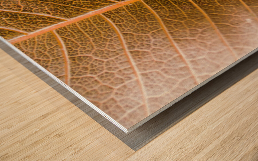 Natures intricacies Wood print