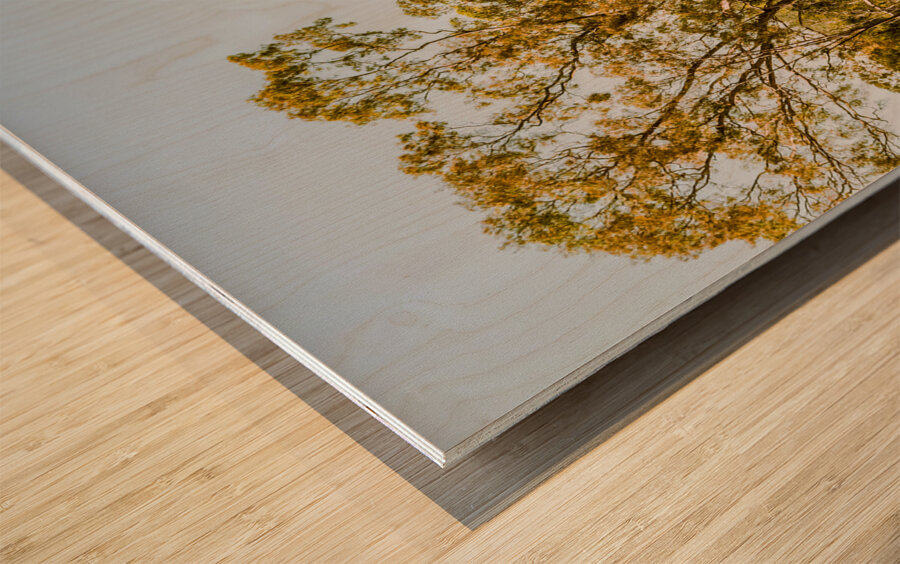 Quaint country view Wood print