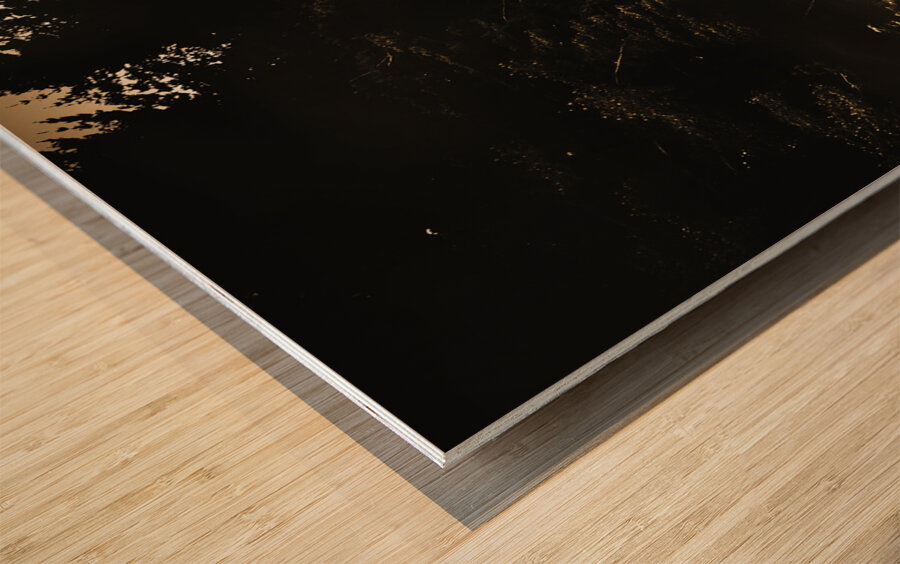 Beauty in dilapidation Wood print