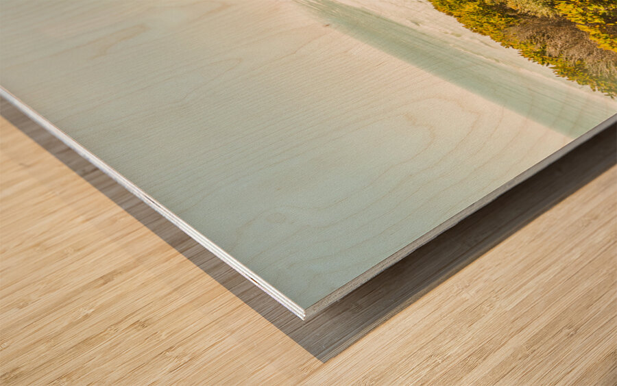 Misty ocean wilderness Wood print