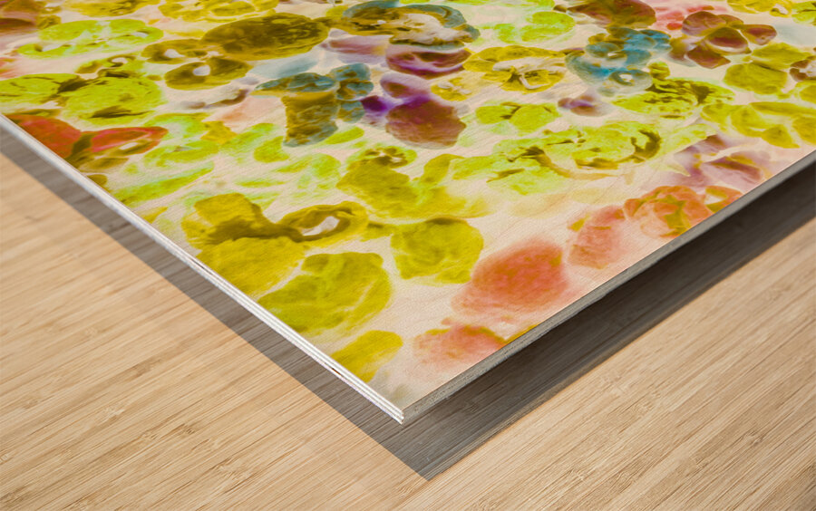 Movie munchies Wood print