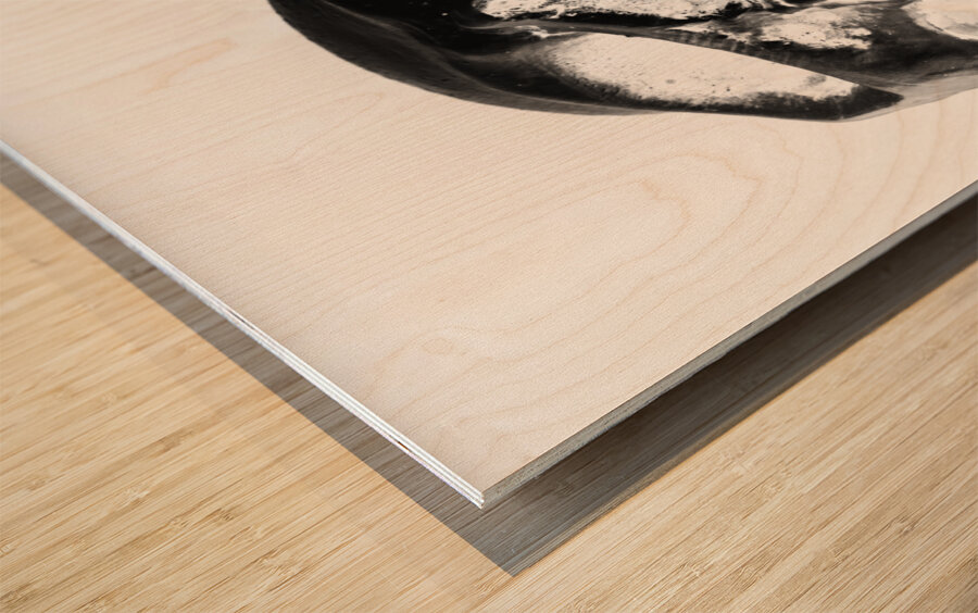 Skulls and dental records Wood print