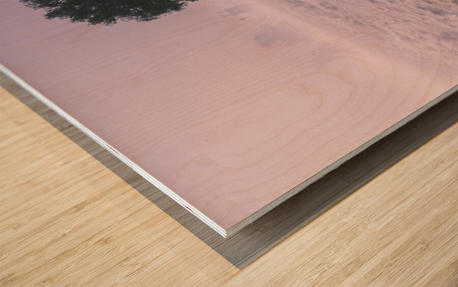 New South Wales foggy meadow Wood print