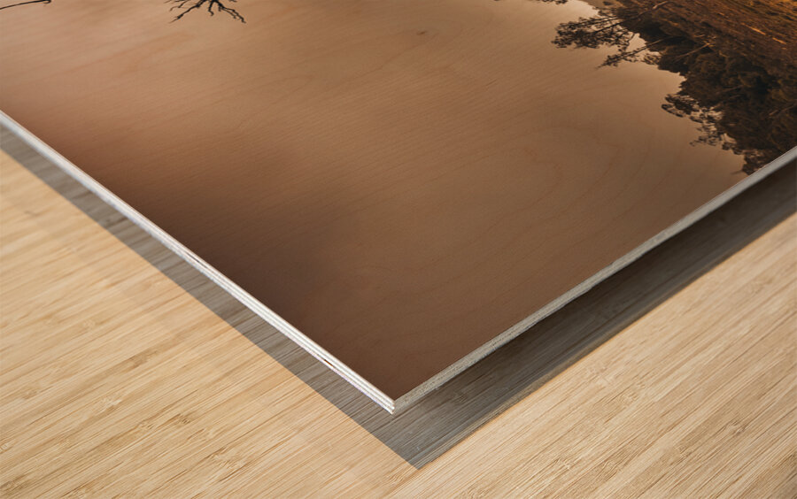 Dark horror landscape of a creepy haunted forest Wood print