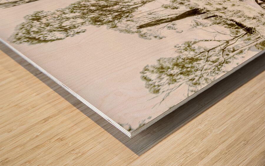 Rustic rural decay Wood print