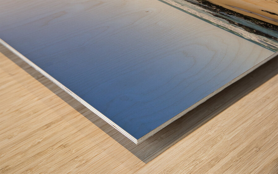 The lone explorer  Wood print