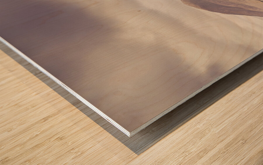 Glorious Gormanston Wood print