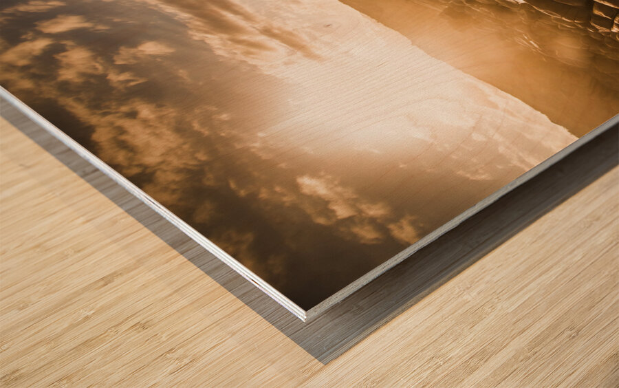 Sun bleached Australia beach Wood print