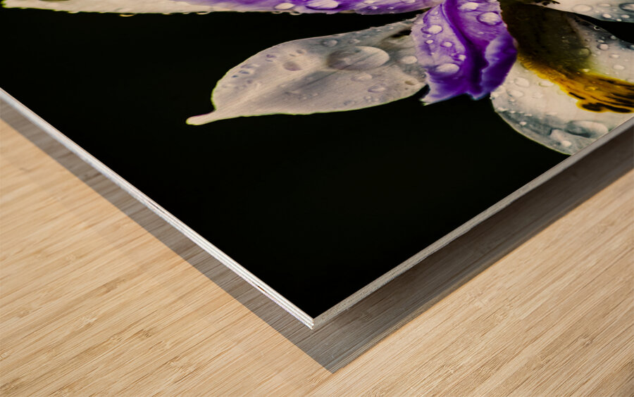 Tropical Iris Wood print