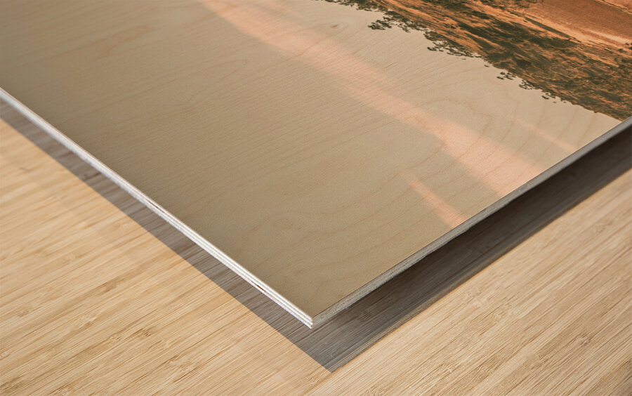 Cranbrook vineyard Wood print