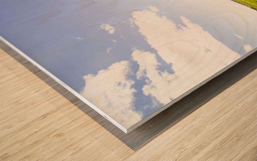 Wind powered farming station Wood print